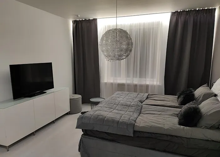 Tyylikaes Asunto Kalliossa Helsinki